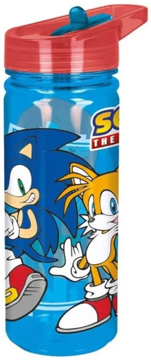 Sonic Lunchset - Drinkfles & Lunchbox Meerkleurig