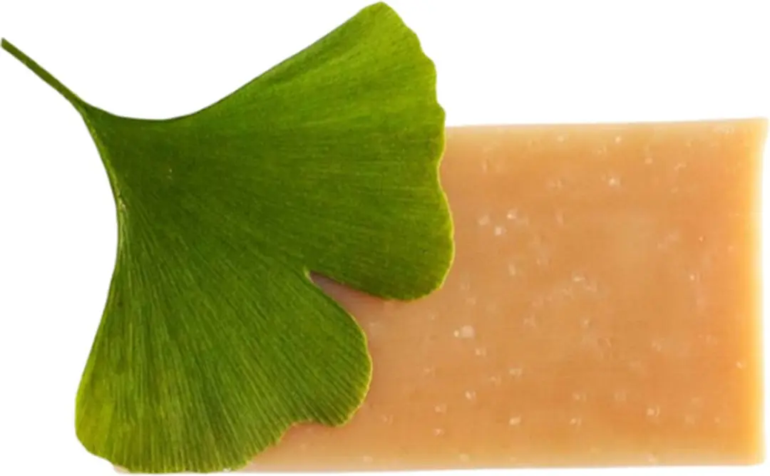 Werfzeep Boszeep 100g - Vegan - Aardse Dennengeur
