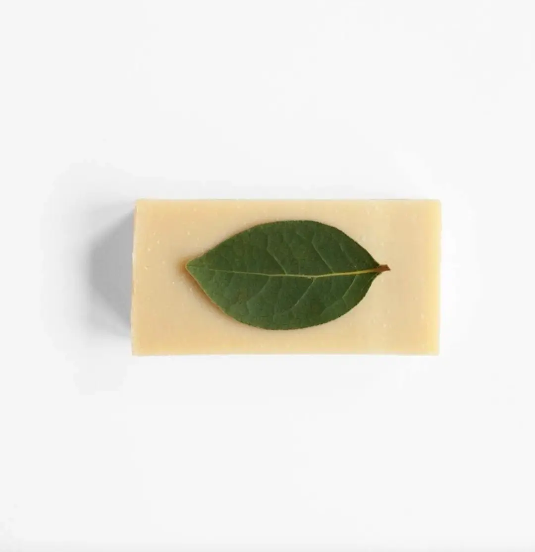 Werfzeep Karitézeep 100g