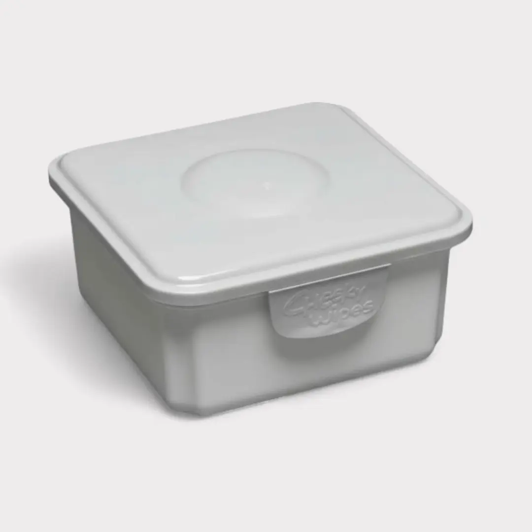 Cheeky Wipes Fresh Container