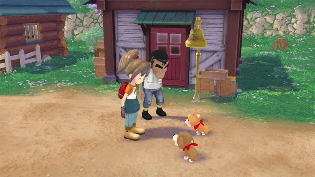 Mindscape Story of Seasons: A Wonderful Life Nintendo Switch