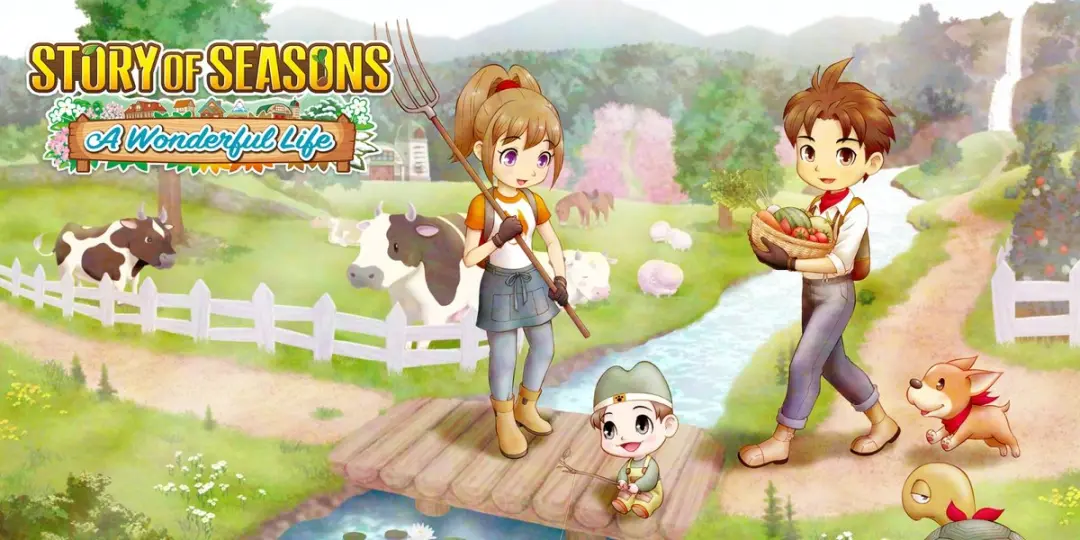 Mindscape Story of Seasons: A Wonderful Life Nintendo Switch