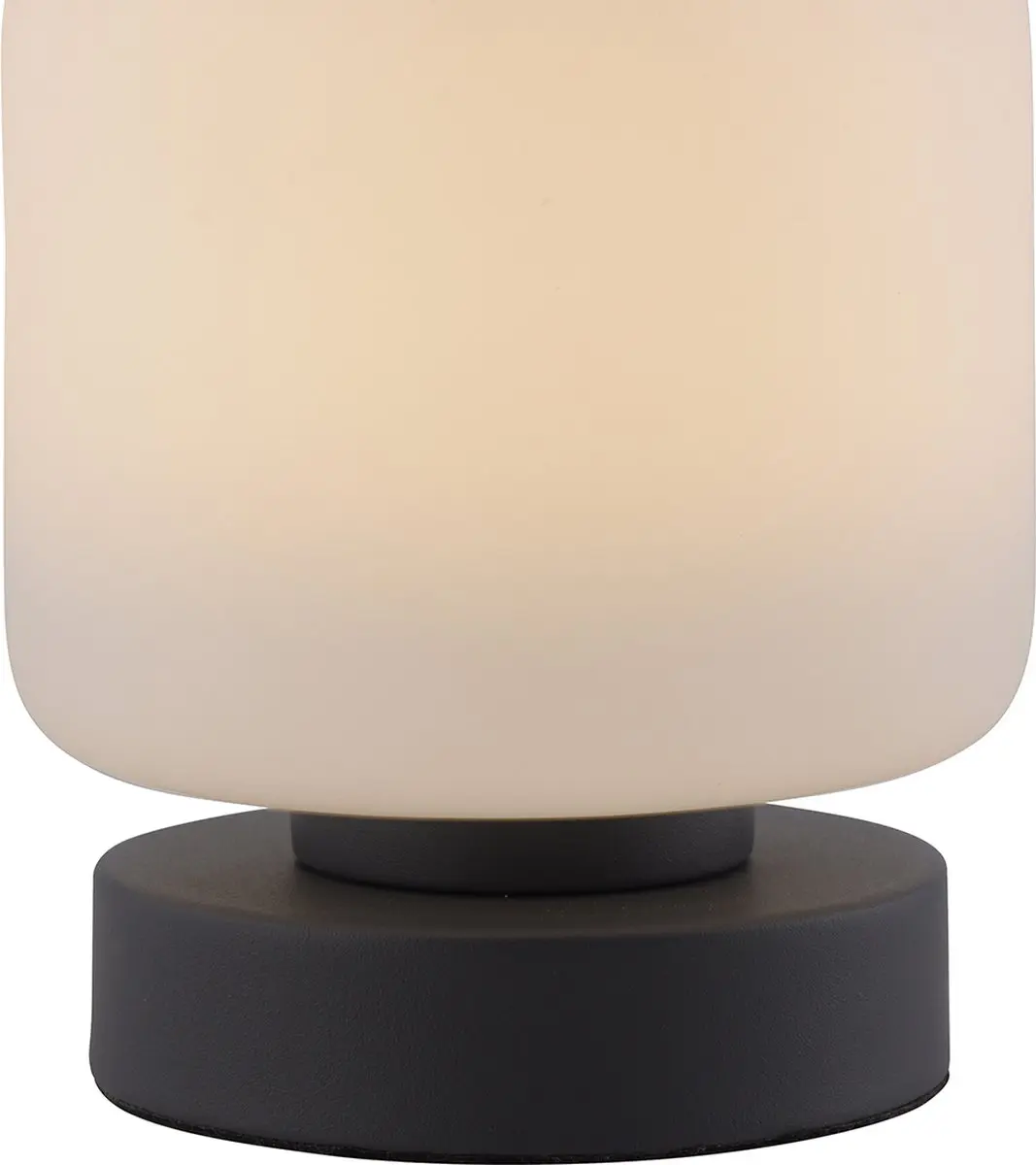 Paul Neuhaus Bota Tafellamp 5W - Antraciet
