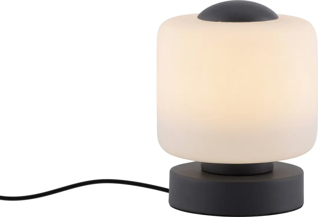 Paul Neuhaus Bota Tafellamp 5W