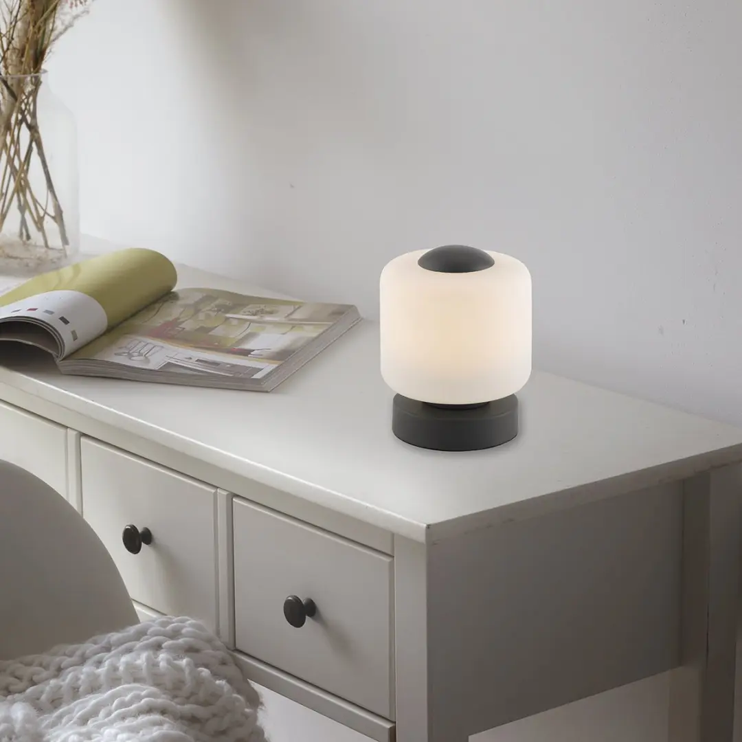 Paul Neuhaus Bota Tafellamp 5W - Antraciet