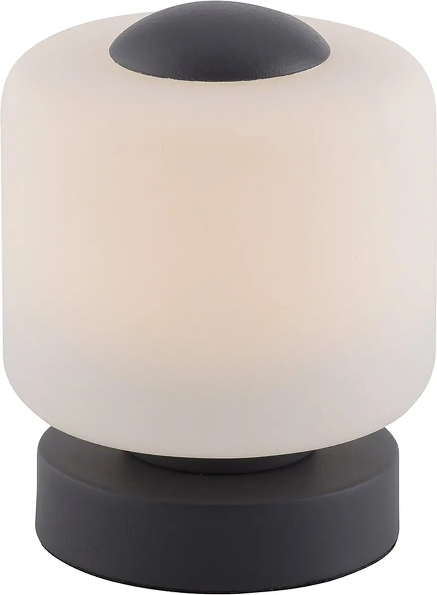 Paul Neuhaus Bota Tafellamp 5W - Antraciet