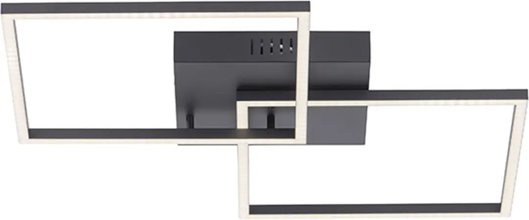 Paul Neuhaus Amanda LED Plafondlamp 2-licht - Zwart