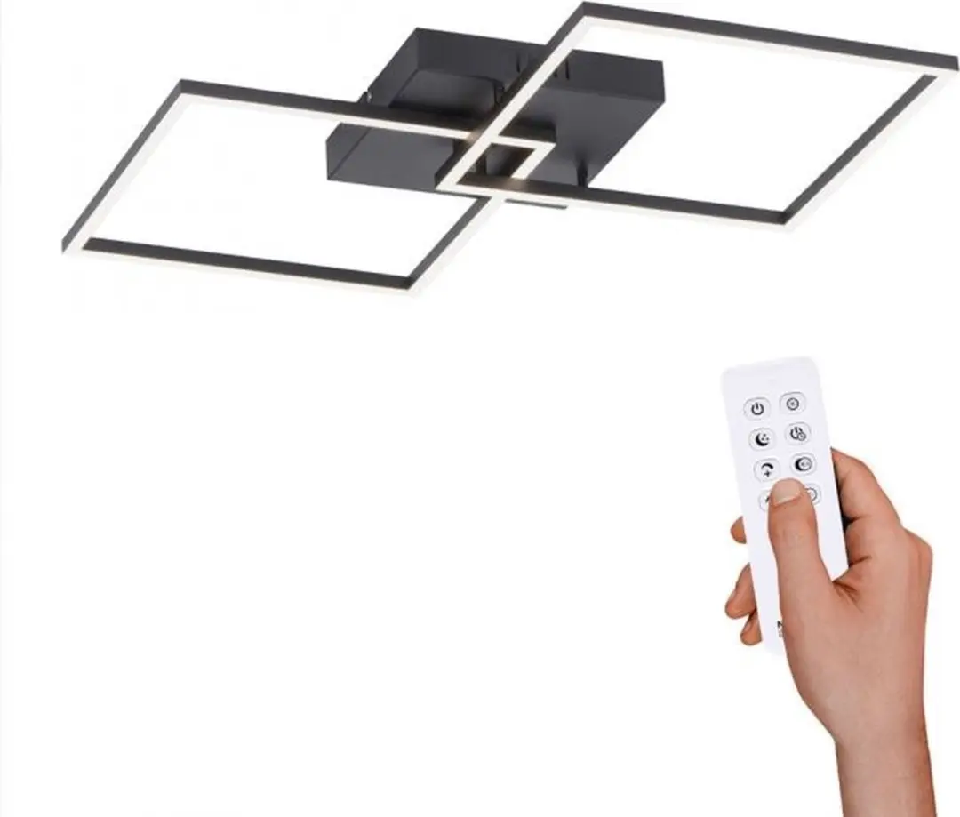 Paul Neuhaus Amanda LED Plafondlamp 2-licht