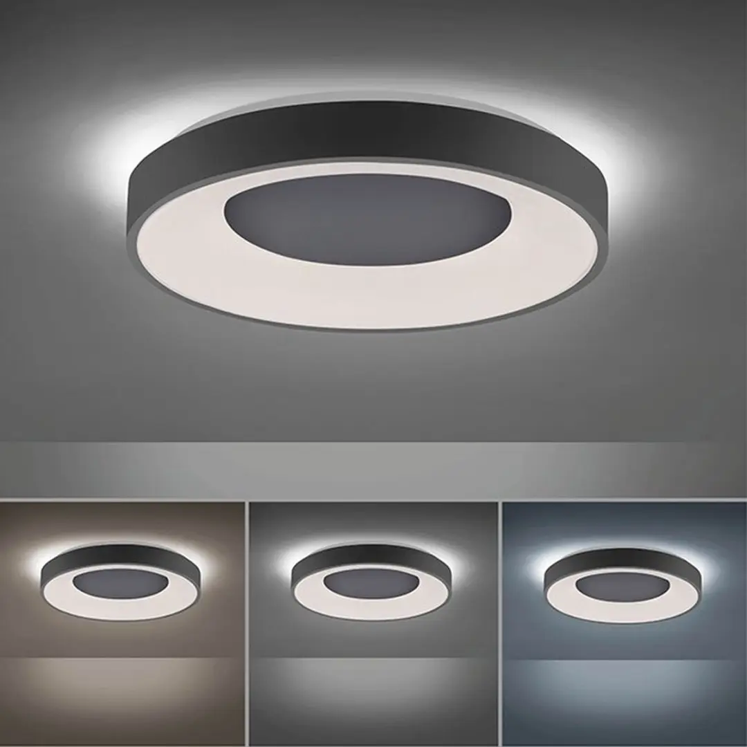 Paul Neuhaus Steffie LED Plafondlamp Ø50cm - Antraciet