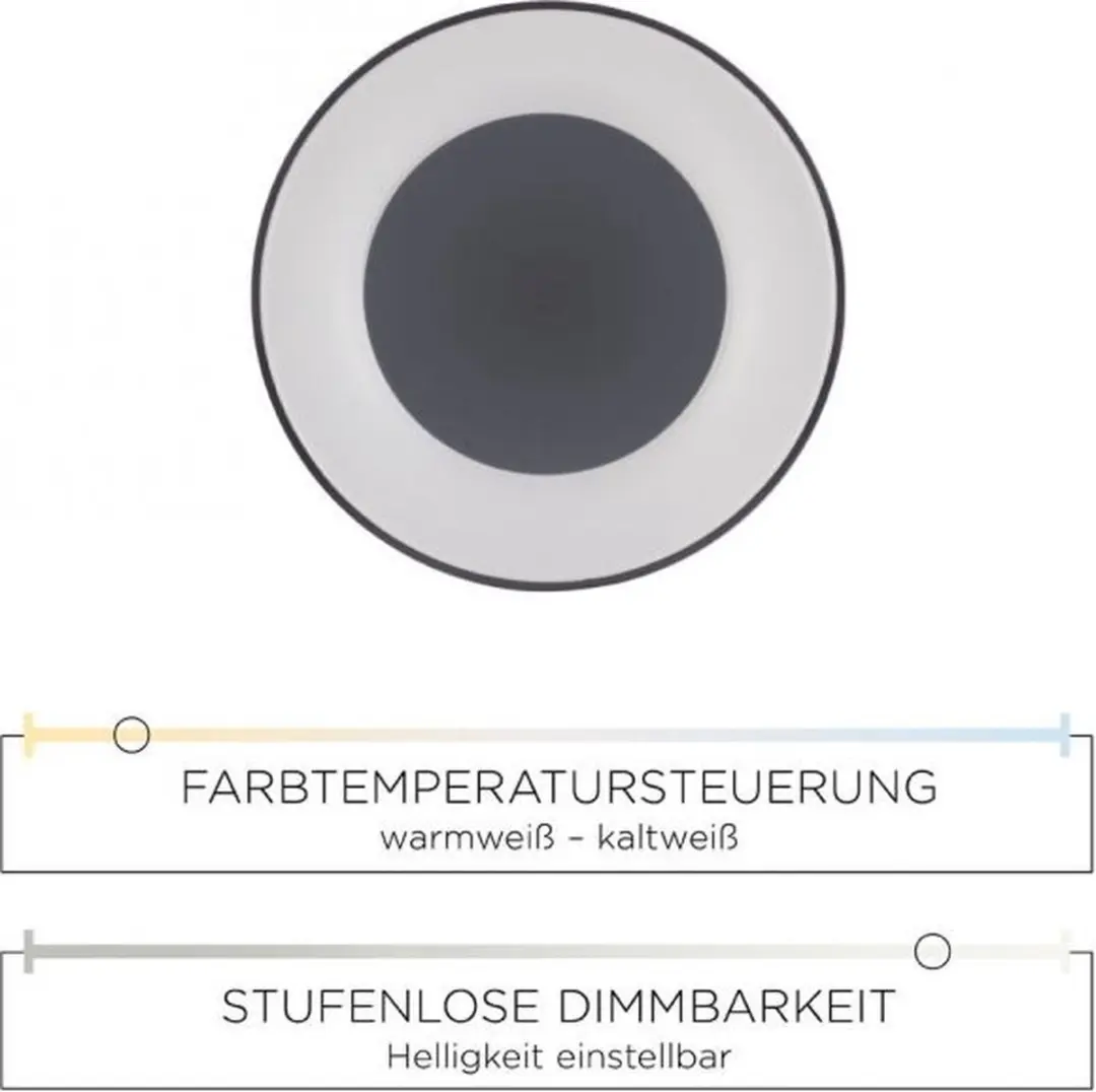 Paul Neuhaus Steffie LED Plafondlamp Ø50cm - Antraciet