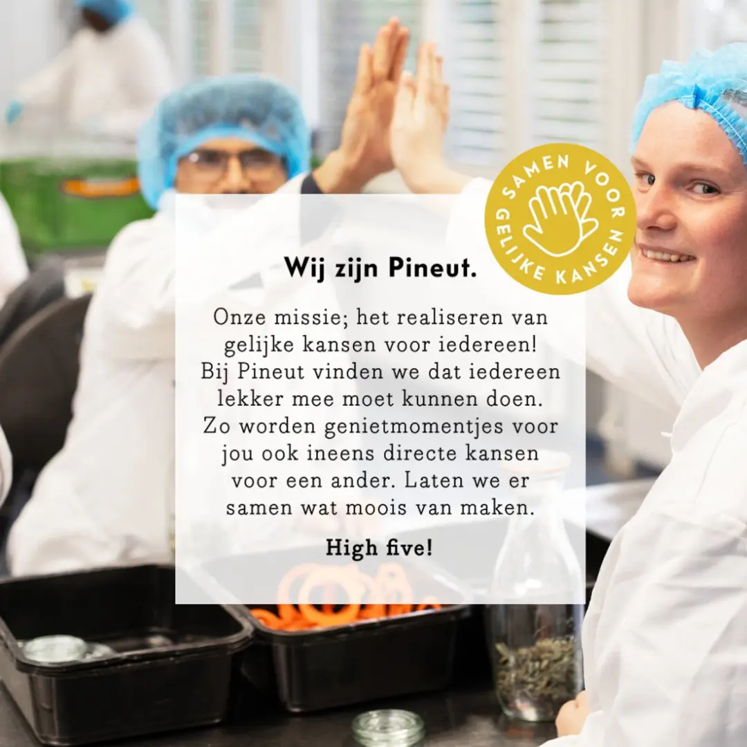 Pineut Facial Steam Kamille & Pepermunt Stoomkruiden