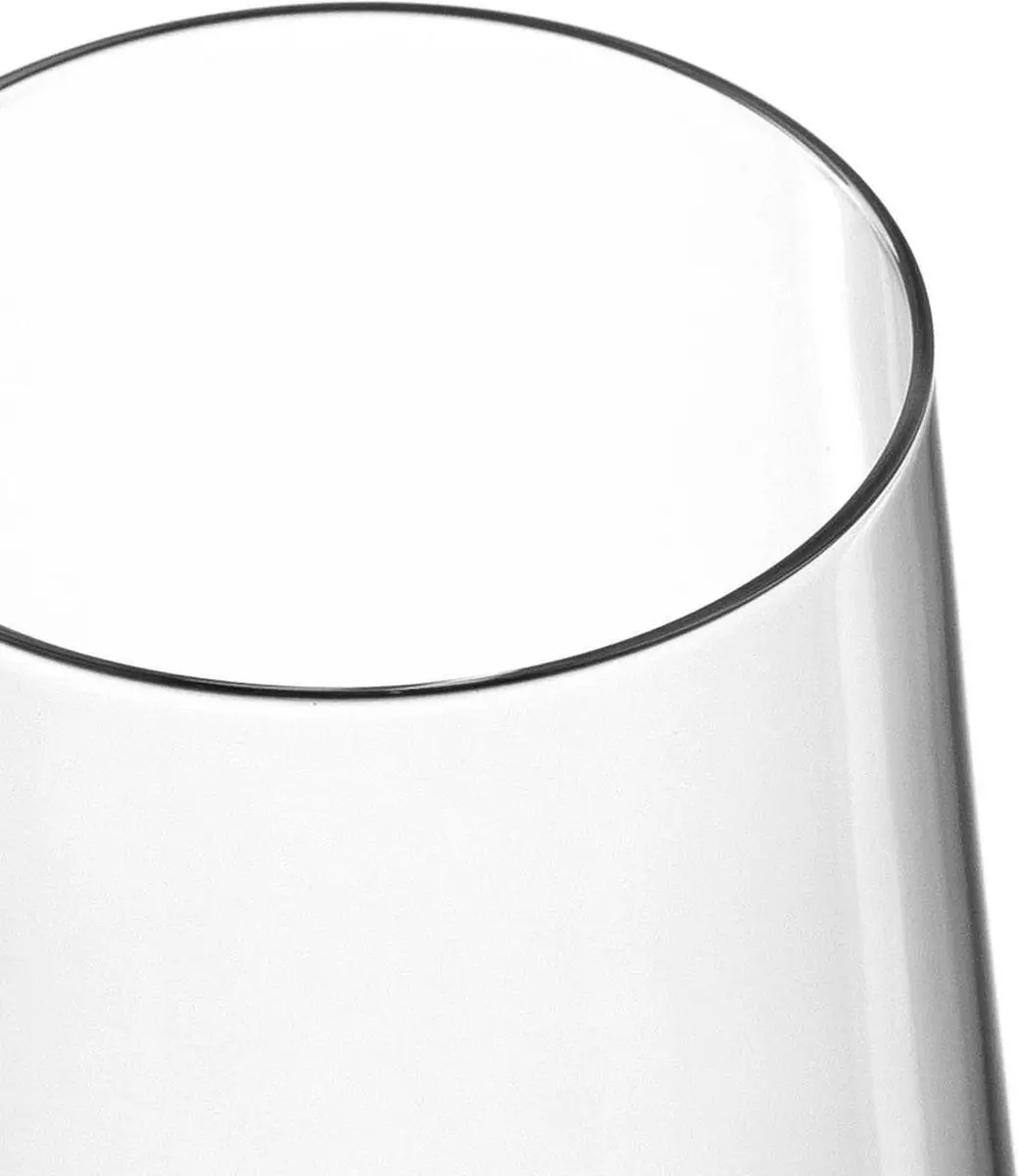 Leonardo Puccini Champagneglazen 280ml - 12 Stuks