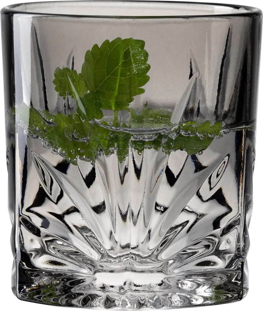 Leonardo Whiskeyglas CAPRI 330ml - Grijs - 4 Stuks
