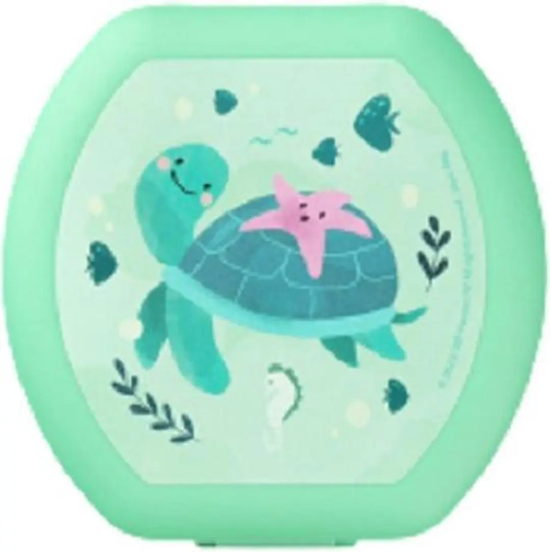 Amuse Sealife Snackdoos Schildpad A-000360 - 200ml - Groen