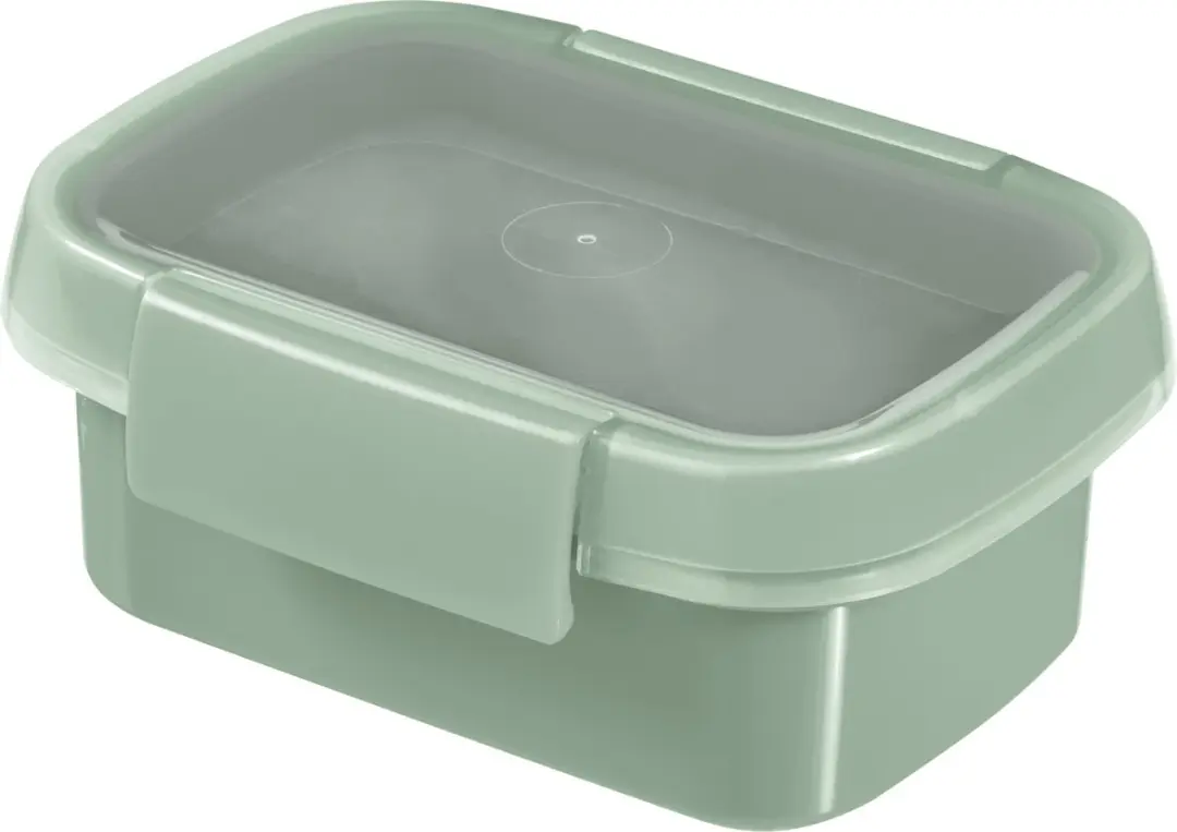 Curver Smart to Go Eco Snackbox 0,2L