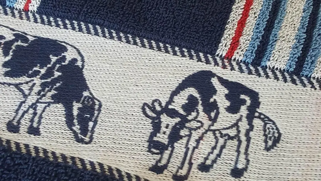 DDDDD Friesian Keukendoek - Set van 6 - 50x55cm - Badstof - Blauw