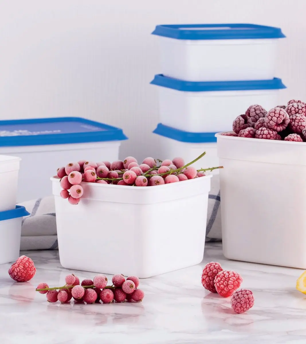Amuse Alaska Diepvriesdozen Set 9-delig - 3x500/750/1200ml - Wit/Blauw
