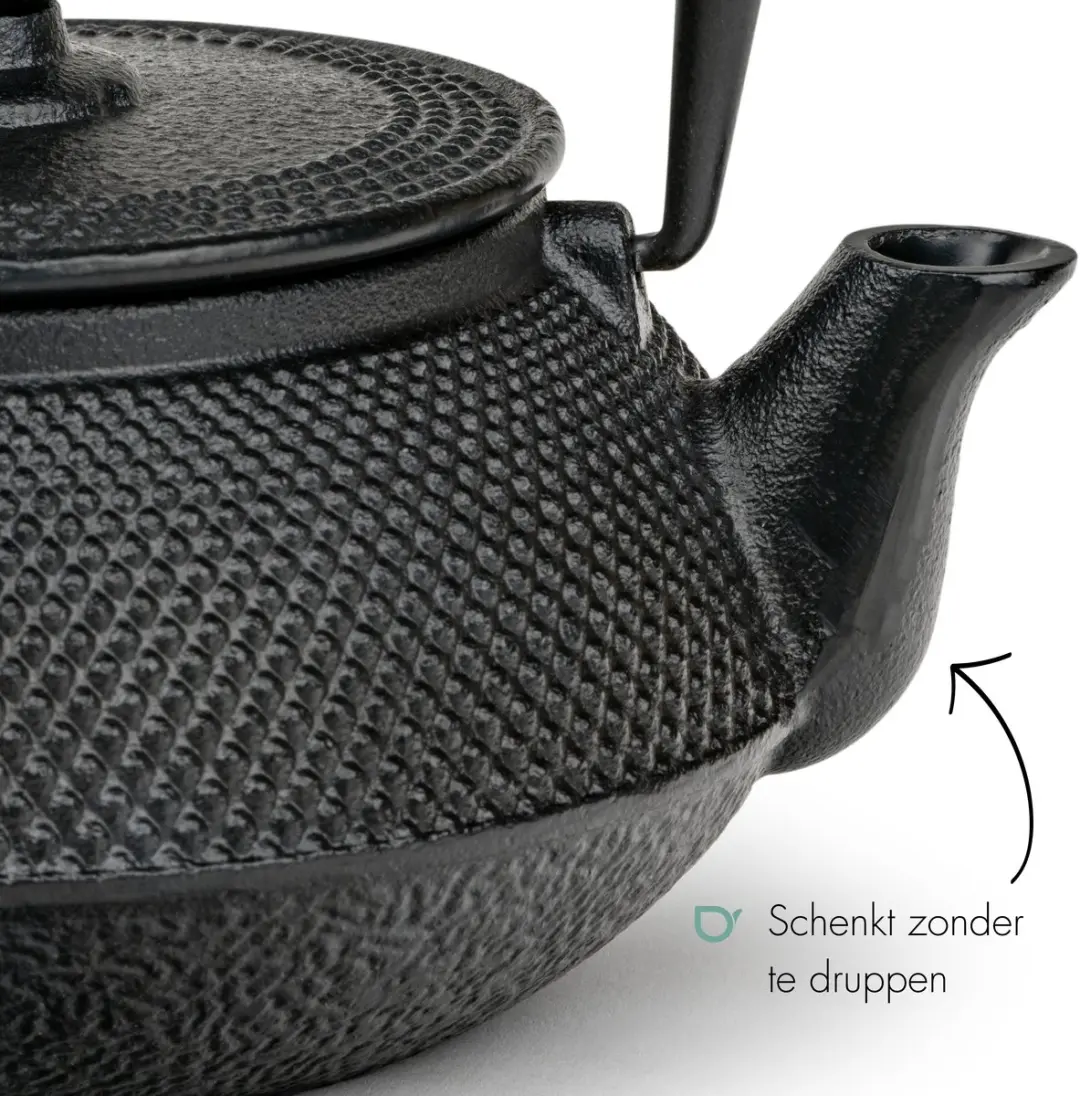 Bredemeijer Theepot Jang Gietijzer 0,5L - Zwart