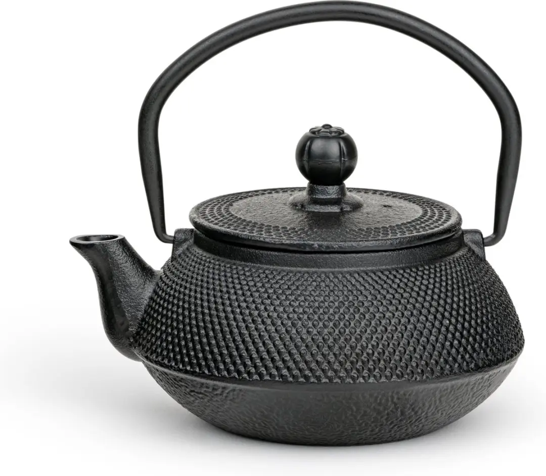 Bredemeijer Theepot Jang Gietijzer 0,5L