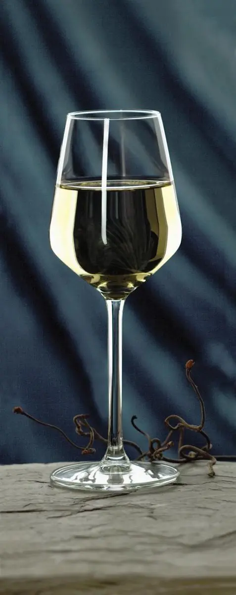 Royal Leerdam Carré Wijnglas 290ml - 6 Stuks
