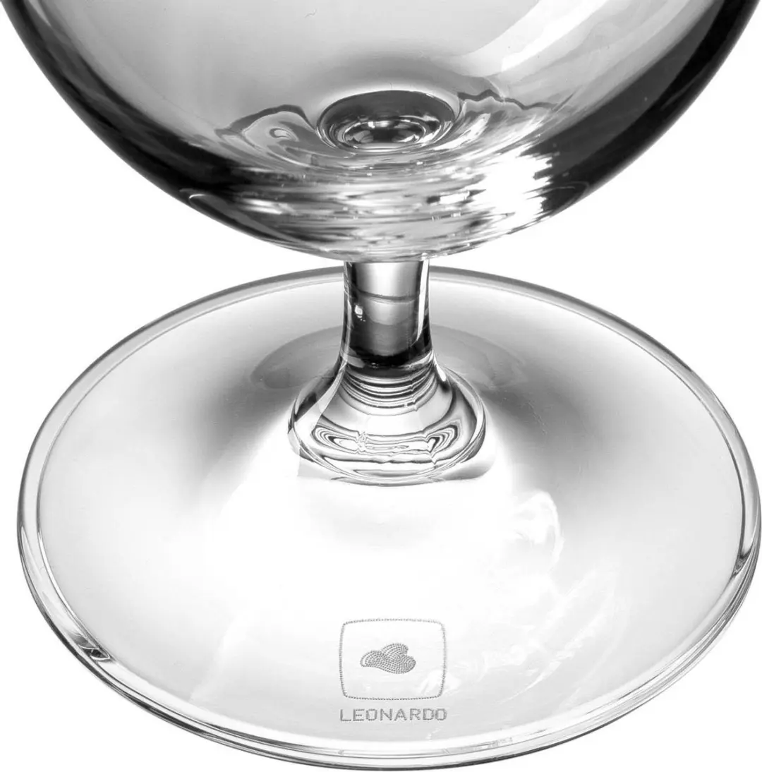 Leonardo Daily Waterglas 63311 - 6 Stuks