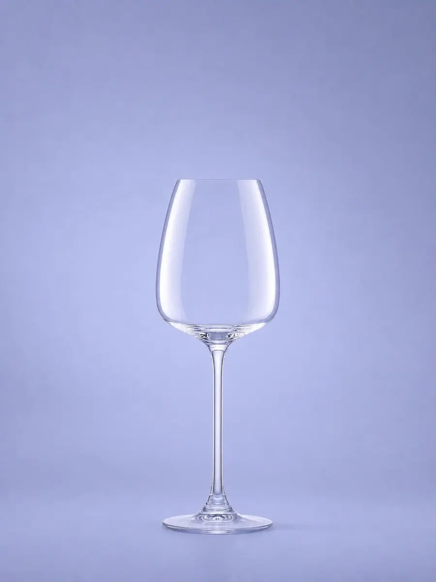 Royal Leerdam Experts Collection Wijnglas 29cl - 6 Stuks