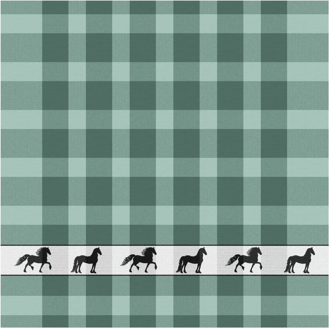 DDDDD Shanti Theedoeken - 6 Stuks 60x65cm - Geruit Groen Badstof