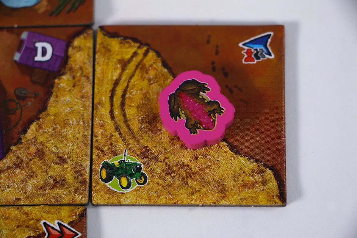 999 Games - Queensland - Bordspel - Lichtgewicht tactisch tegelspel - bevat spelregels in NL, EN, FR, ES, DE -bevat ook een Solo variant