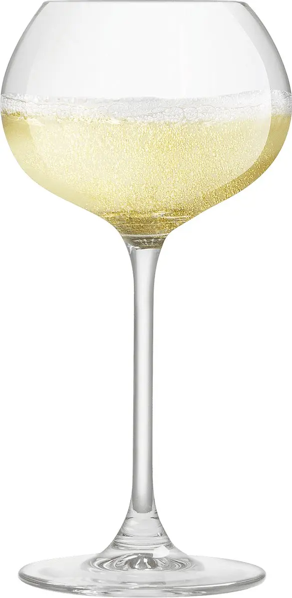 Royal Leerdam Experts Collection Champagneglas 27cl - 6 Stuks