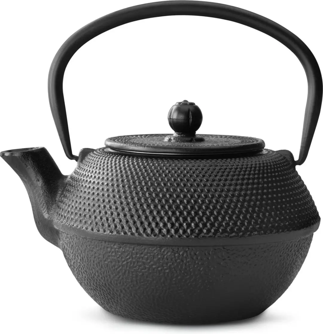 Bredemeijer Theepot Jang G002Z Gietijzer