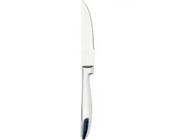 Excellent Houseware BBQ Steakmessen - 4 Stuks - 22cm - RVS