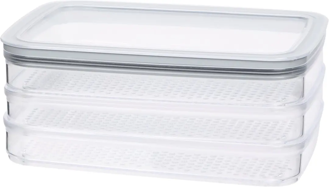 Curver Vleeswarendoos 3x 0.8L - 22.5x15.5x9cm - Grijs/Transparant