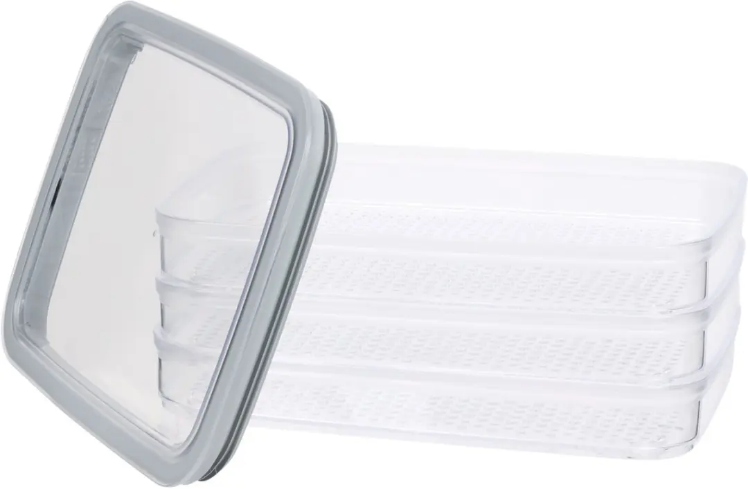 Curver Vleeswarendoos 3x 0.8L - 22.5x15.5x9cm - Grijs/Transparant