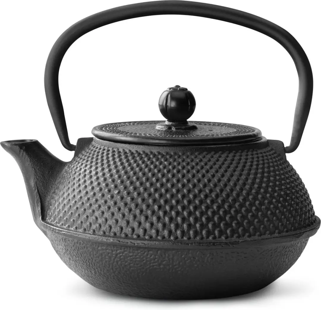 Bredemeijer Theepot Jang G001Z Gietijzer