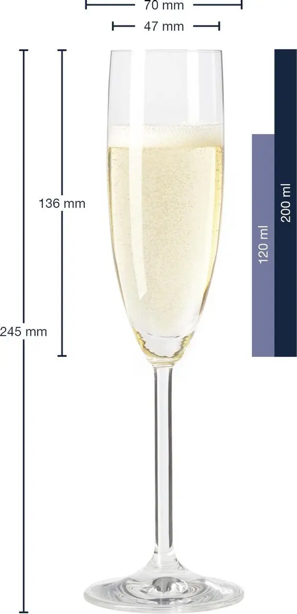 Leonardo Daily Champagneglas 6 Stuks - 063314