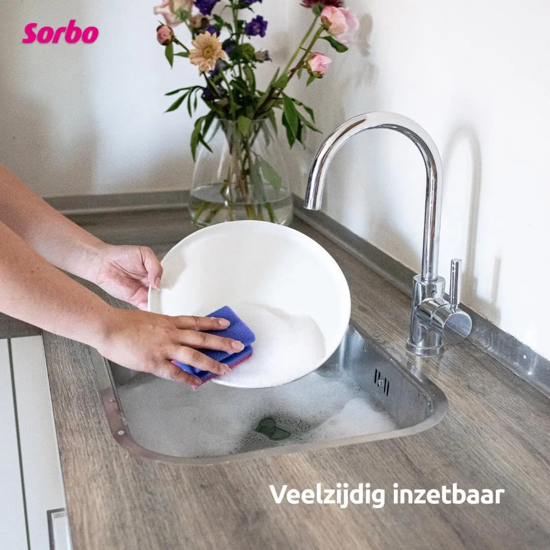 Sorbo Schuurspons 94169 - 6 Stuks - Meerkleurig - afbeelding 6 van 6
