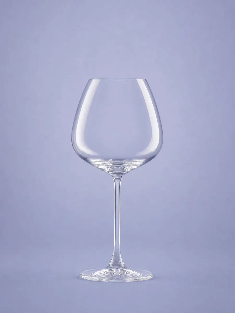 Royal Leerdam Experts Collection Wijnglas 55cl - 6 Stuks