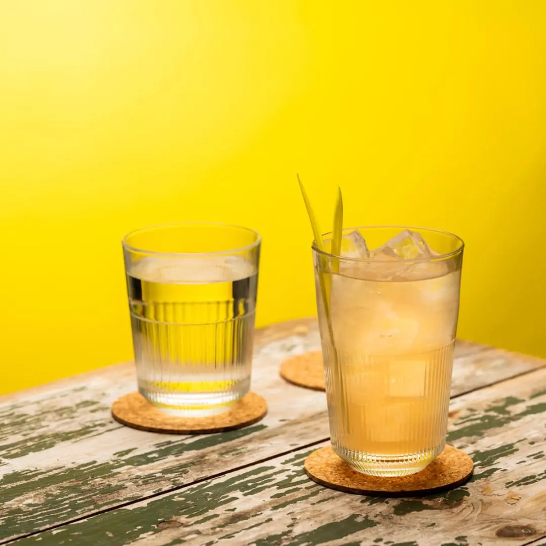 Royal Leerdam Rayo Tumbler 32cl - 6 Stuks