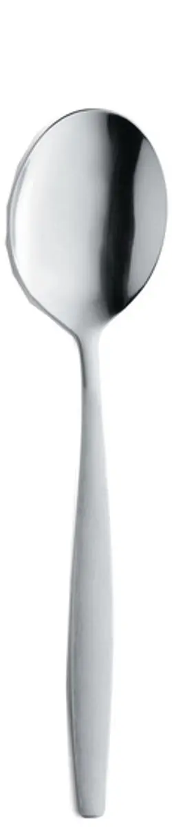 Amefa Koffielepels RVS