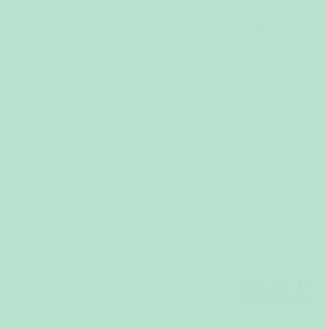 DDDDD Theedoek Logo 60x65cm Pastel Groen - 6 Stuks
