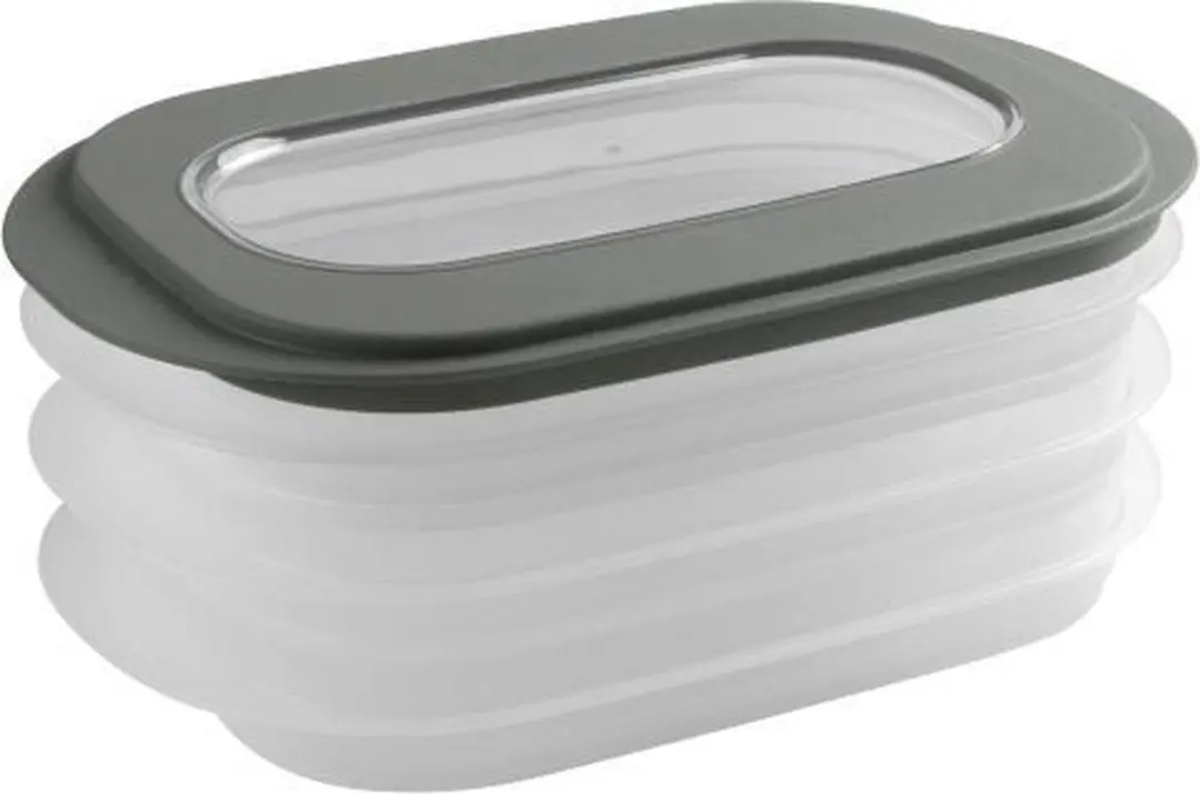 Sunware Sigma Home Vleeswarendoos 26.5x17.2x10.5cm - Transparant/Groen