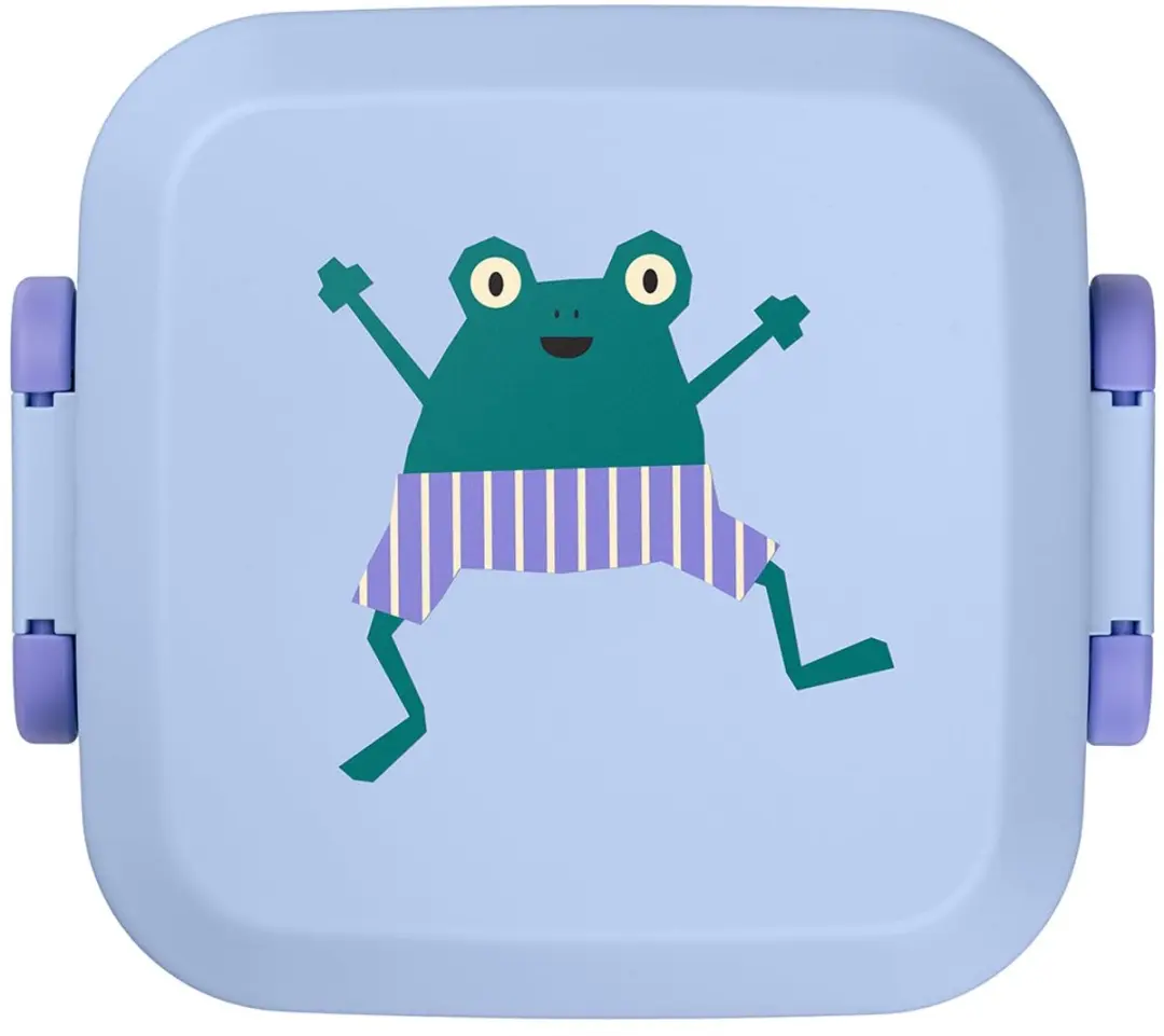 Amuse Rikko Kids Frog Bento Lunchbox