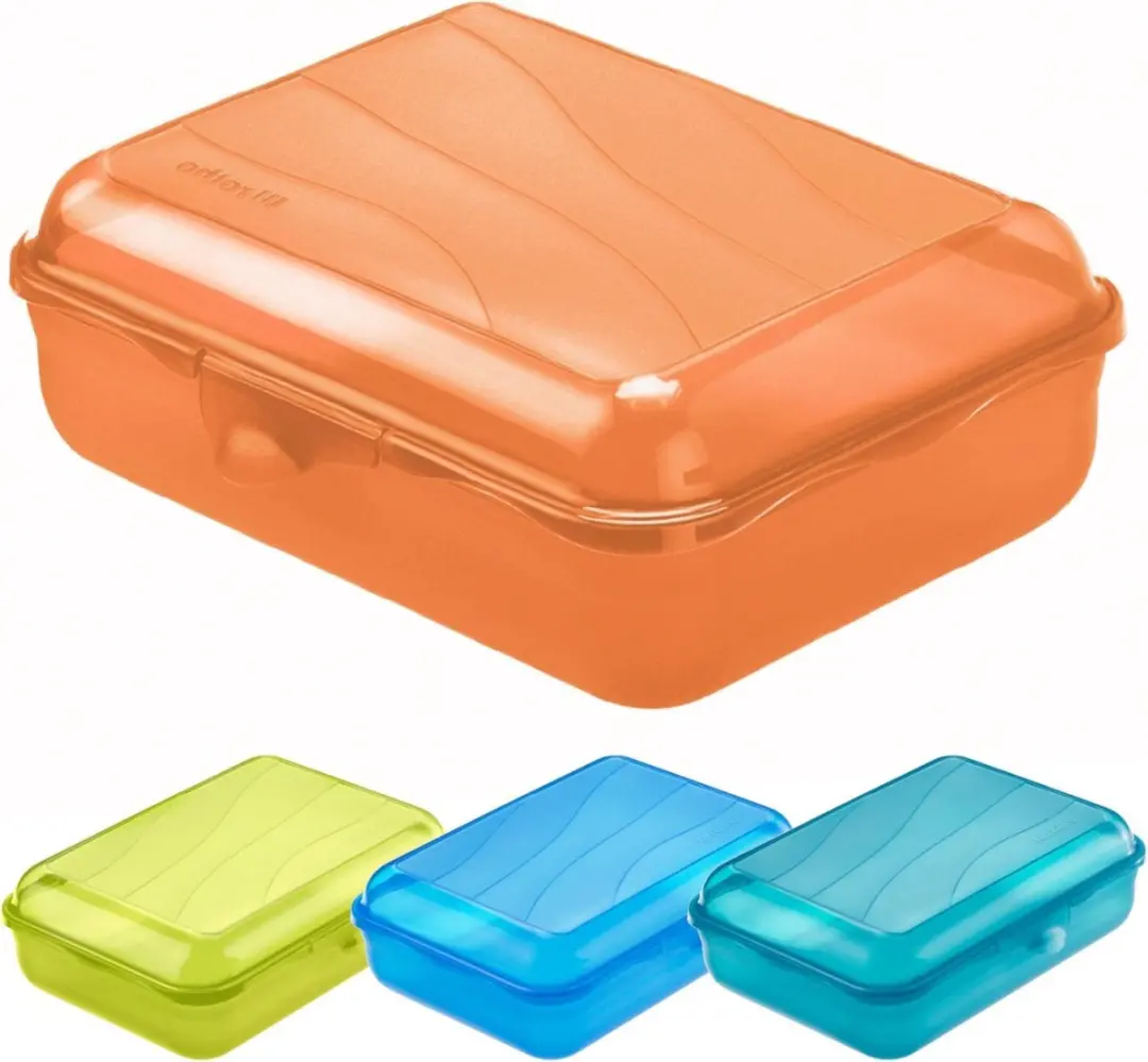 Rotho FUN Lunchbox 1250ml - Transparant