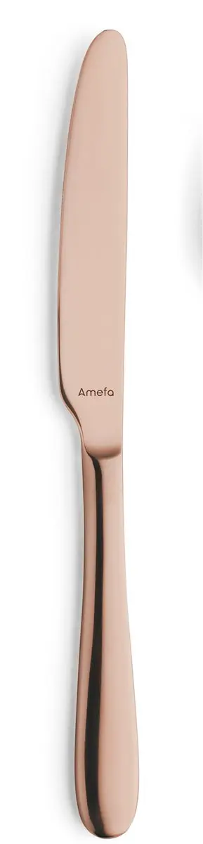Amefa Oxford Bestekset 24-delig - 6 Personen - Koper - Houten Kist - afbeelding 6 van 6