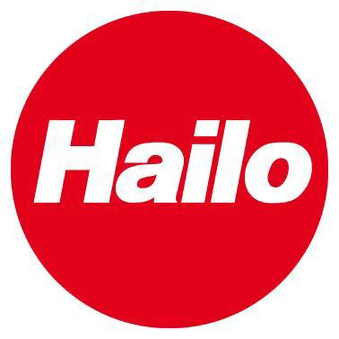 Hailo Tandem de Luxe Inbouw Prullenbak 366613 - 3x10L Grijs