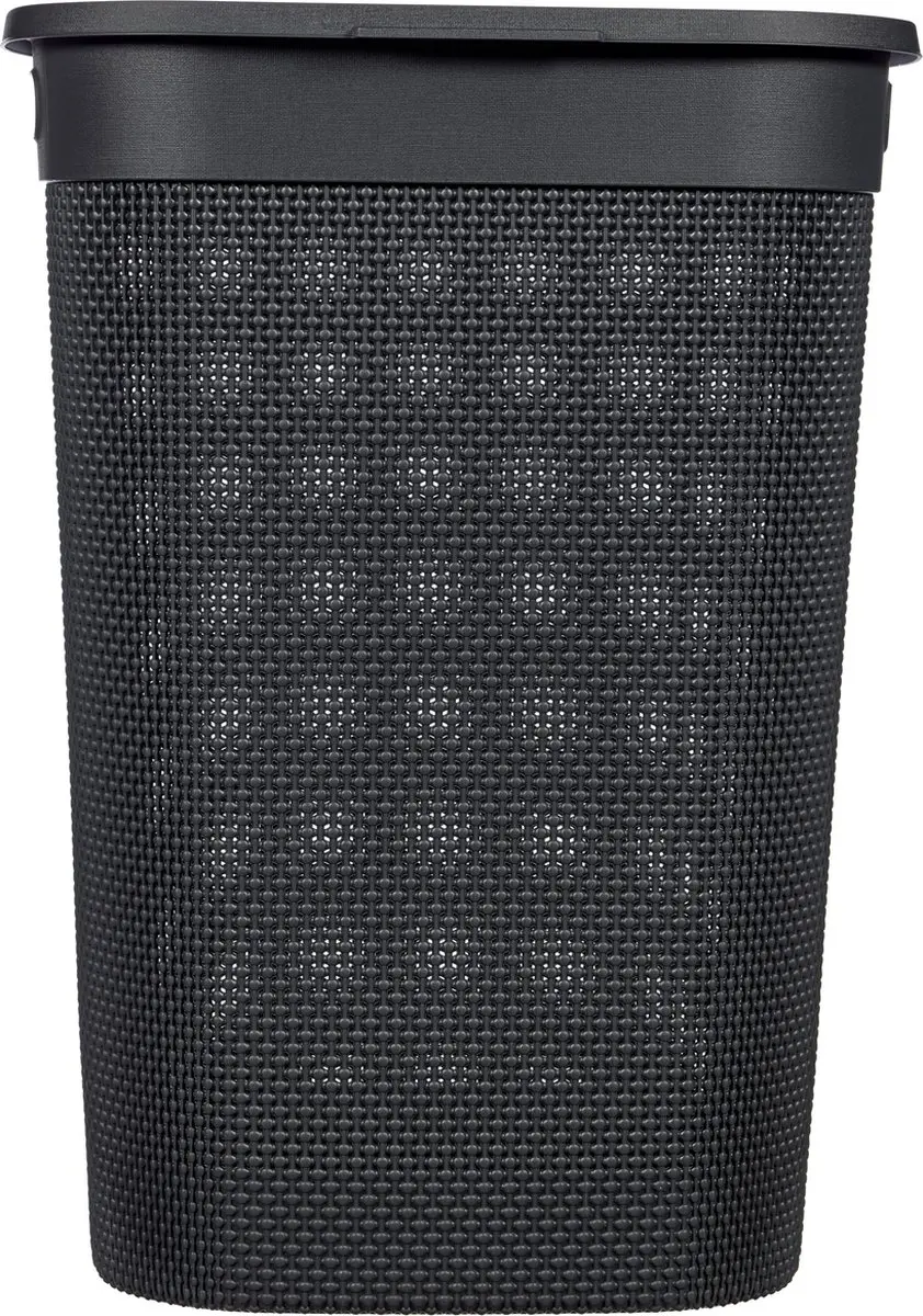 Curver Filo Wasmand met deksel 55L - 2 Stuks - Antraciet