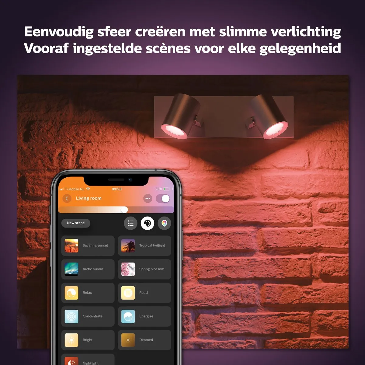 Philips Hue Argenta Opbouwspot 2-spots - Aluminium