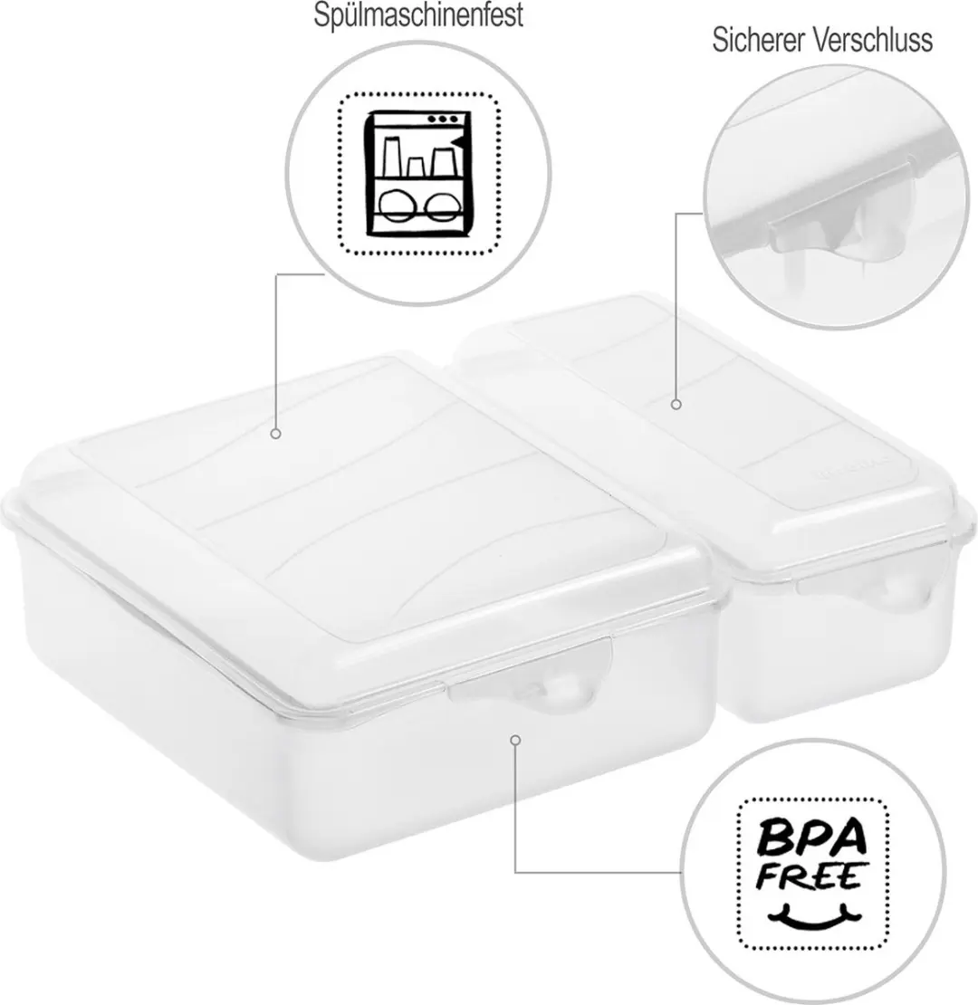Rotho FUN Lunchbox 1,6L - 2 Vakken - Transparant