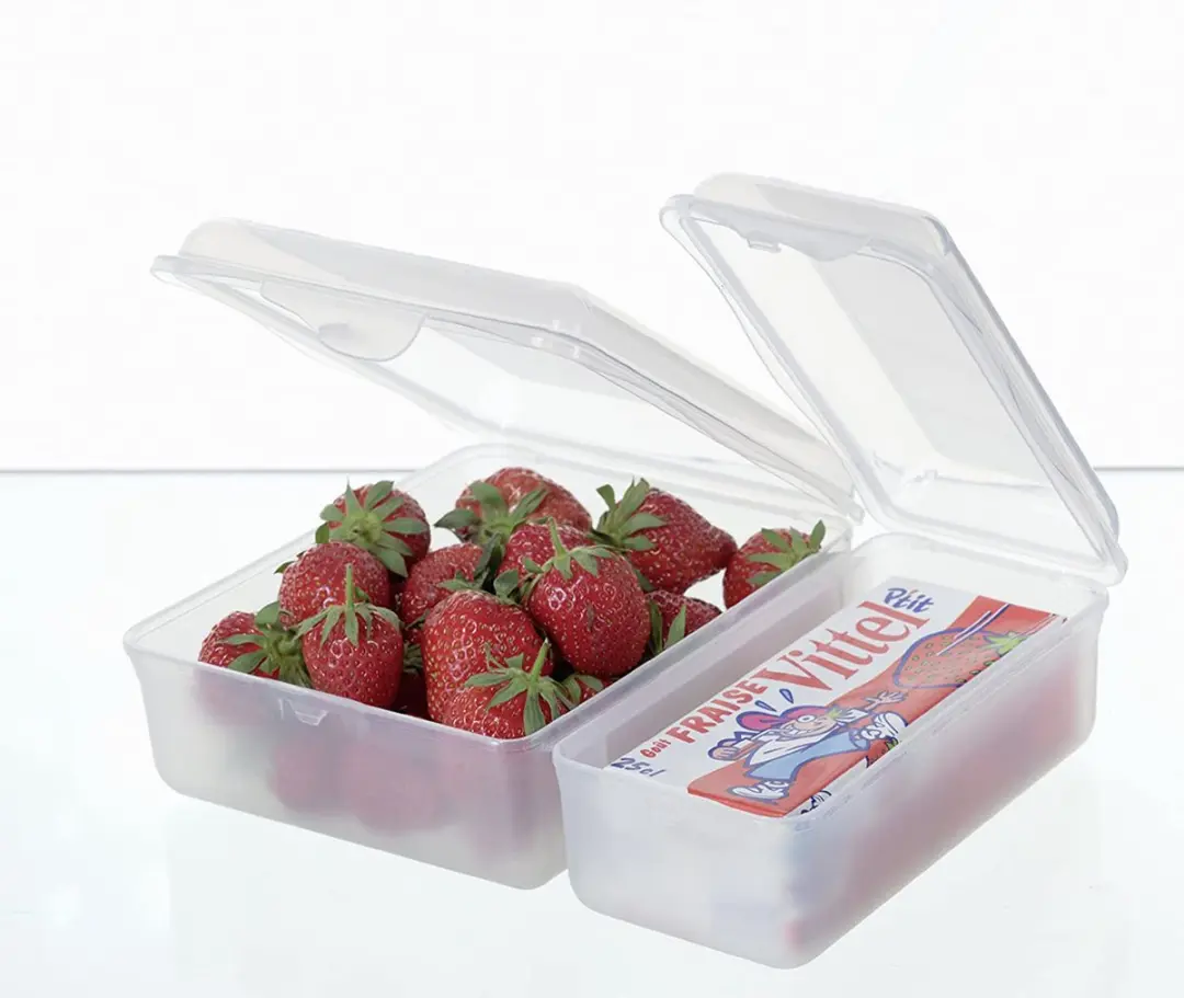 Rotho FUN Lunchbox 1,6L - 2 Vakken - Transparant
