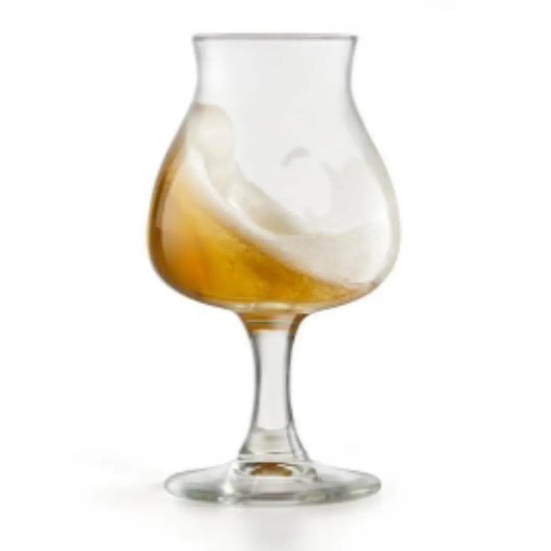 Royal Leerdam Specials Bierglas 250ml - 6 Stuks